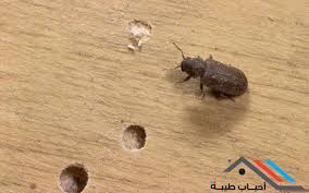 images (3)