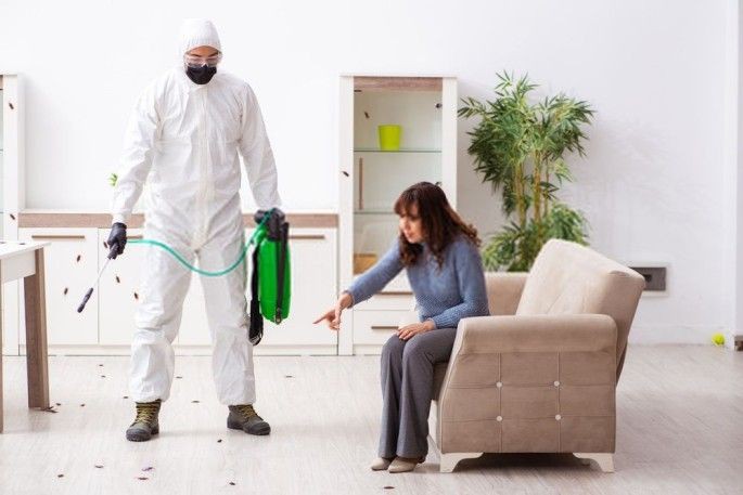 الألمانية الأصلية لإبادة الحشرات في الشيخ زايد 01030952858