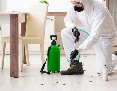 الشركة الألمانية الأصلية لإبادة الصراصير في مدينتي – 01030952858 | جلفار بست كنترول