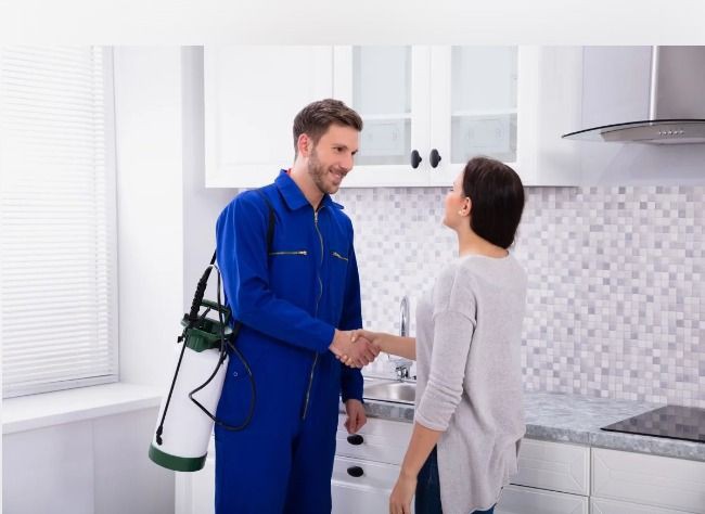 شركة مكافحة حشرات في الدقي 01030952858 بخصم 60%