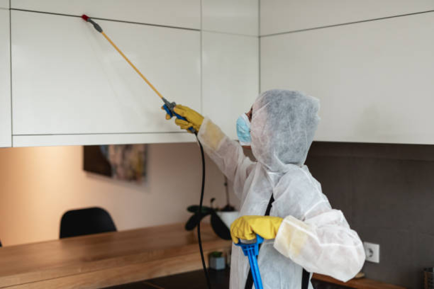 الشركة الألمانية الأصلية لإبادة النمل 01030952858 – جلفار الألمانية