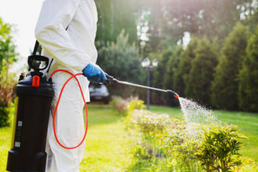 الشركة الألمانية الأصلية لإبادة النحل 01030952858 – جلفار الألمانية