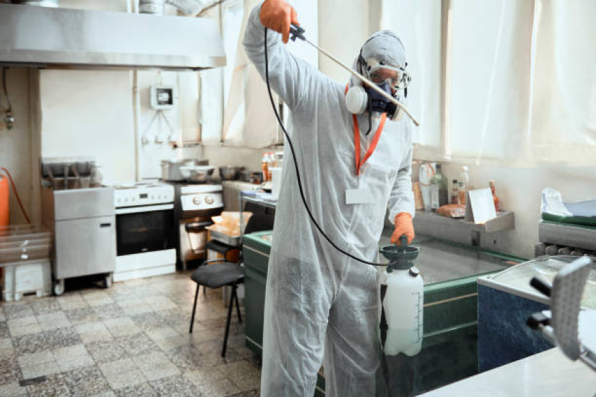 شركة مكافحة حشرات في المنيل 01030952858 بخصم 63%