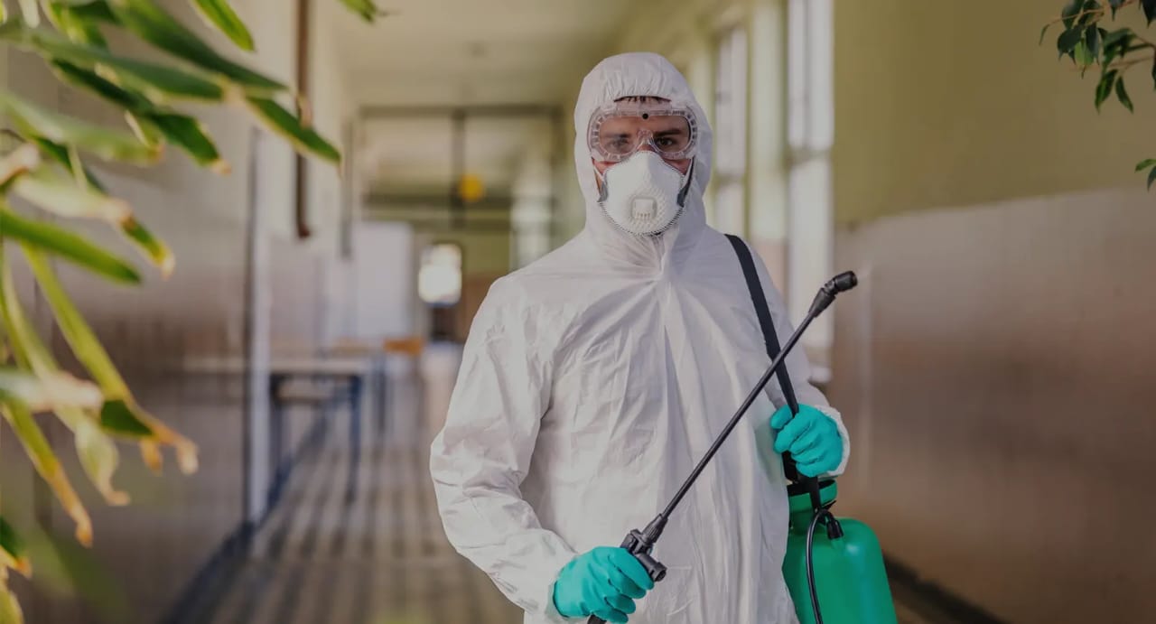 الشركة الألمانية الأصلية لإبادة الحشرات في 6 أكتوبر 01030952858