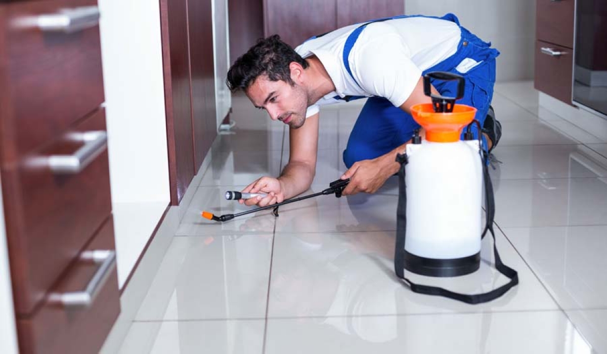 شركة مكافحة حشرات في القطامية 01030952858 الألمانية الأصلية بخصم 60%