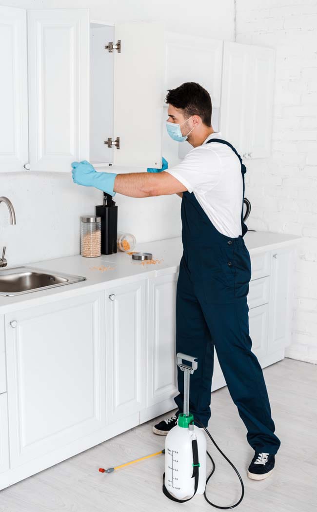 شركة مكافحة حشرات في مدينة نصر  01030952858 بخصم 60%