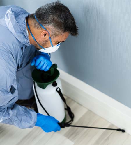 شركة مكافحة حشرات في الزمالك 01030952858 بخصم 60%