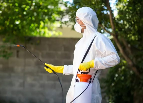 شركة مكافحة الفئران في مدينتي 01030952858 – الألمانية الأصلية