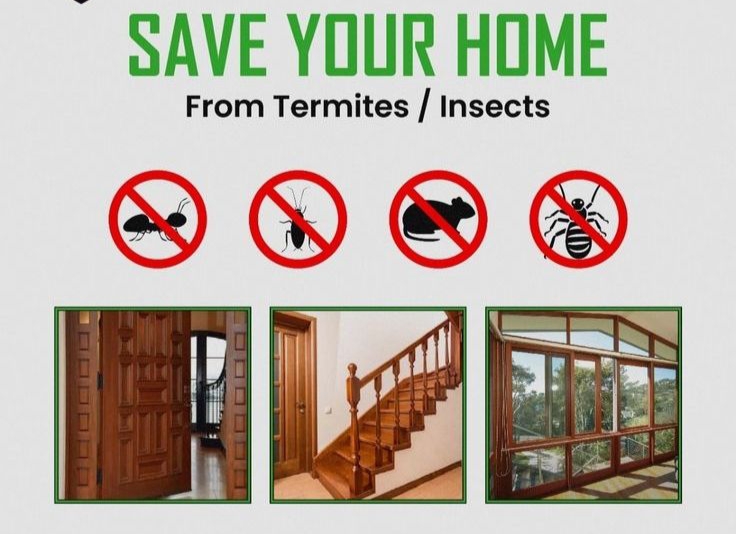 شركة مكافحة حشرات في الماظة  01030952858 بخصم 60%