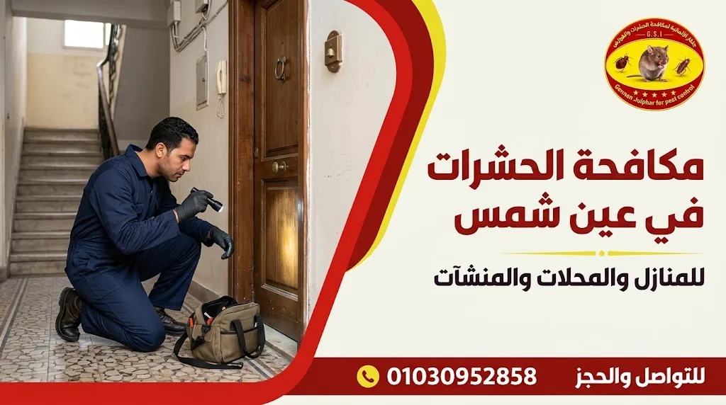 شركة مكافحة حشرات في عين شمس