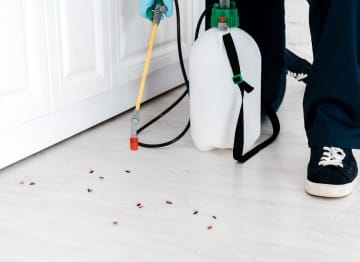 شركة مكافحة حشرات في المقطم 01030952858 بخصم 60%