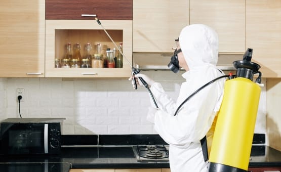 شركة مكافحة حشرات في الهضبة الوسطي 01030952858 بخصم 55%