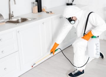 شركة مكافحة حشرات في مدينة العبور – خبرة ألمانية وخصم 55% | 01030952858