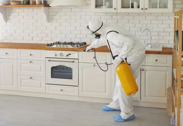 شركة مكافحة حشرات في المطرية 01030952858 خصم 60%