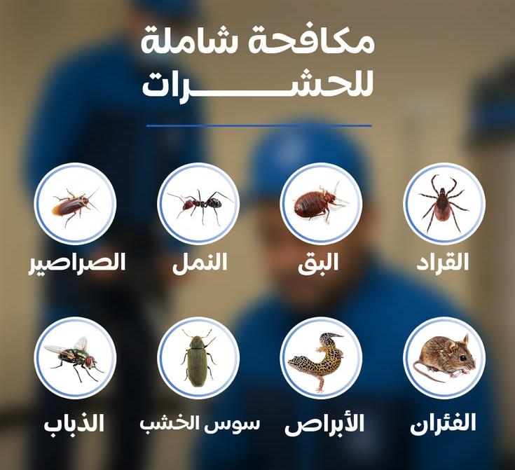 الشركة الالمانية لمكافحة الحشرات في مصر 01030952858 Germany Company