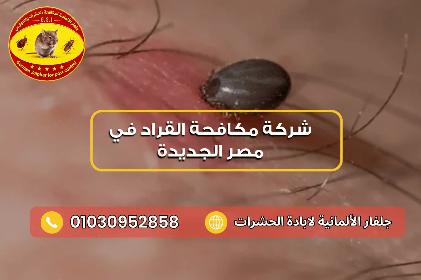 التخلص من القراد في مصر الجديدة جلفار 01030952858