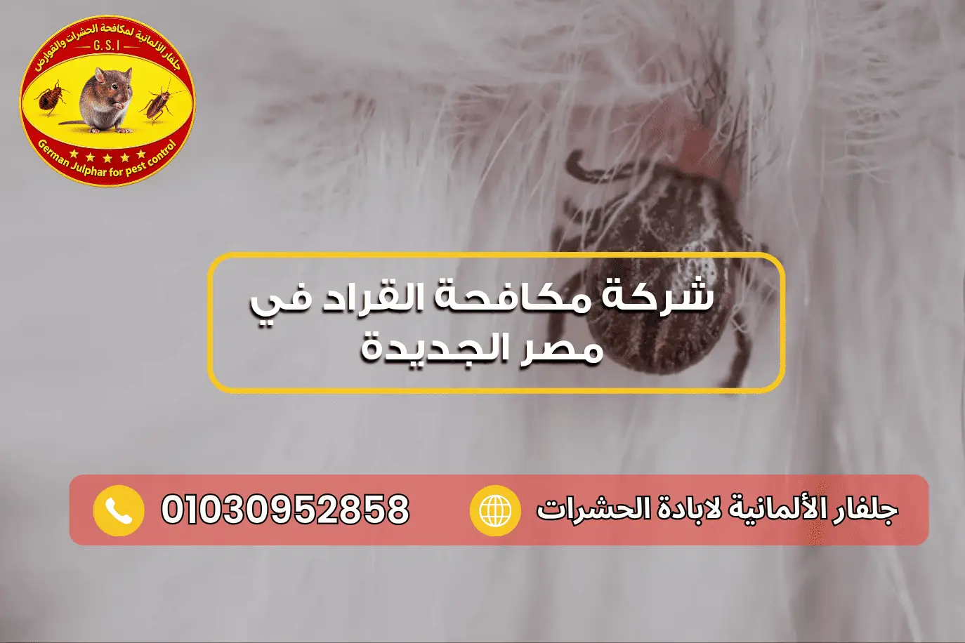 شركة إبادة القراد في مصر الجديدة جلفار 01030952858