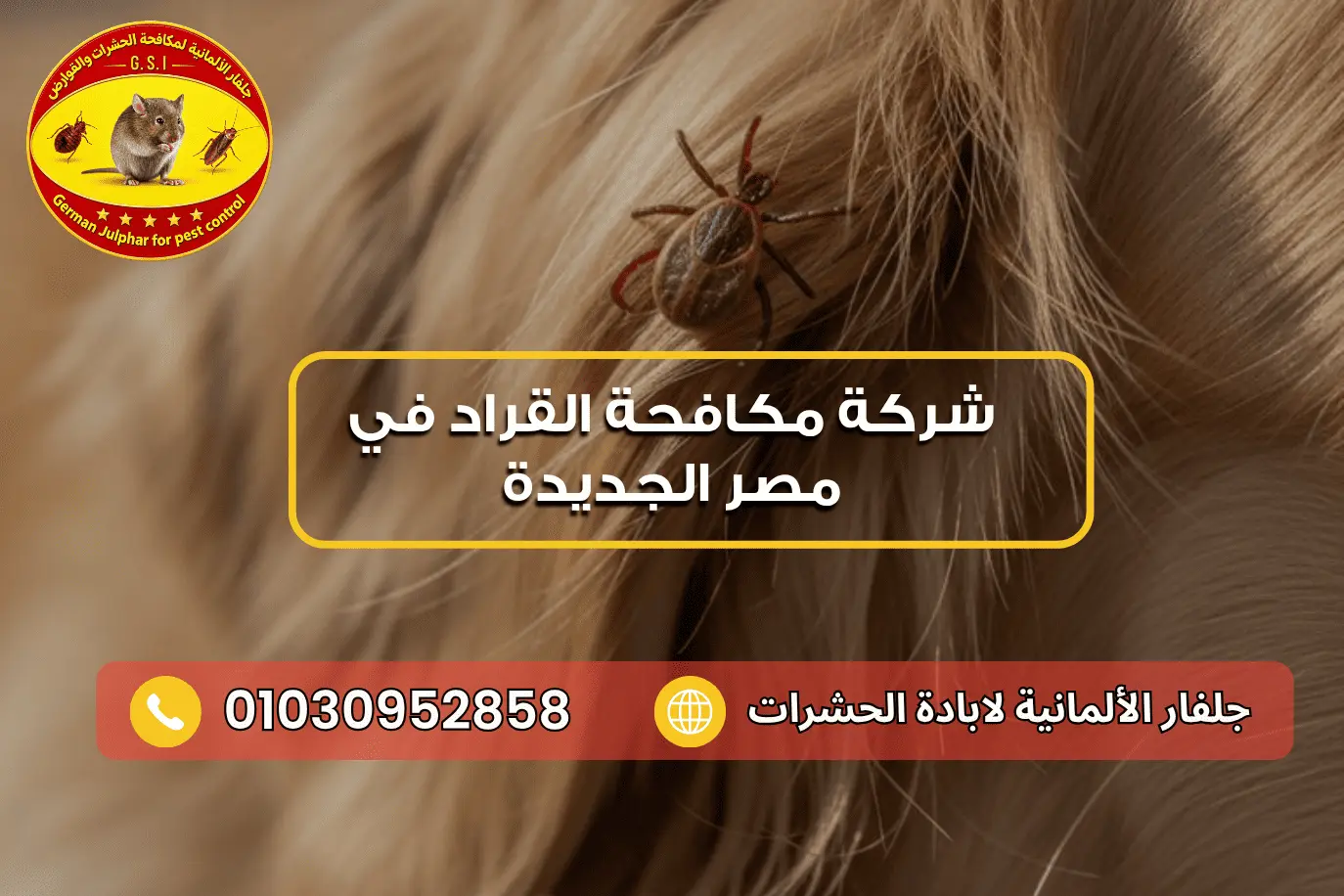 شركة مكافحة القراد في مصر الجديدة جلفار 01030952858