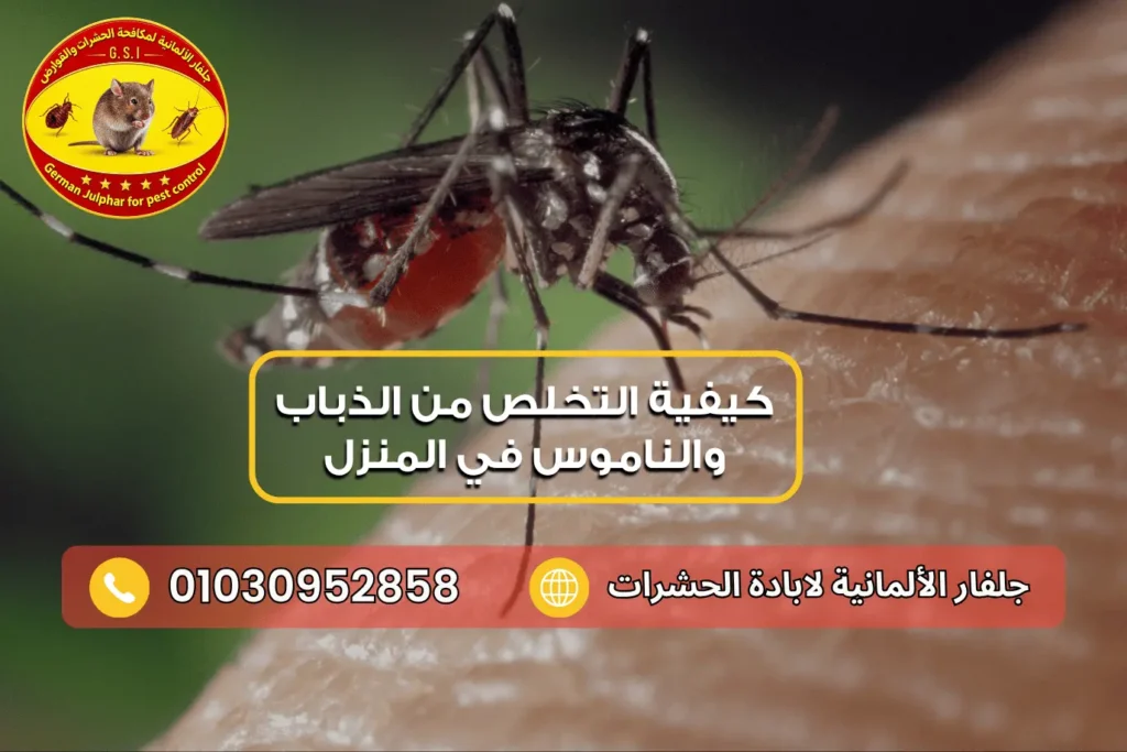 أسباب ظهور الناموس في المنزل جلفار 01030952858