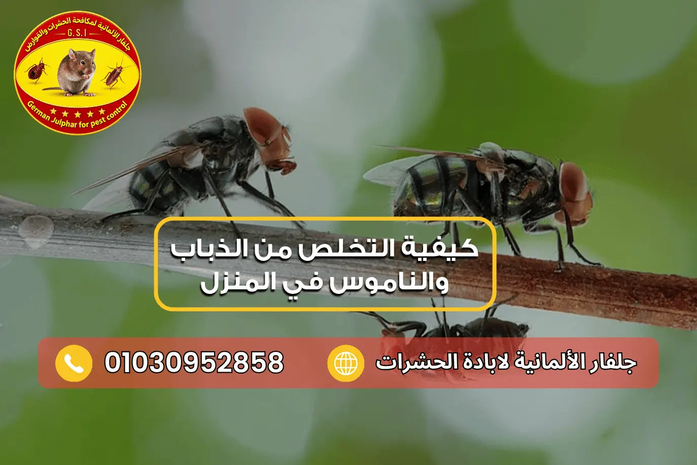 أفضل مبيد للذباب والناموس جلفار 01030952858