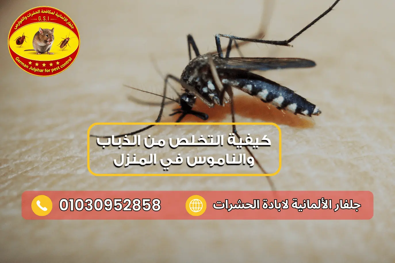 أفضل مبيد للذباب والناموس مع جلفار الالمانية 01030952858