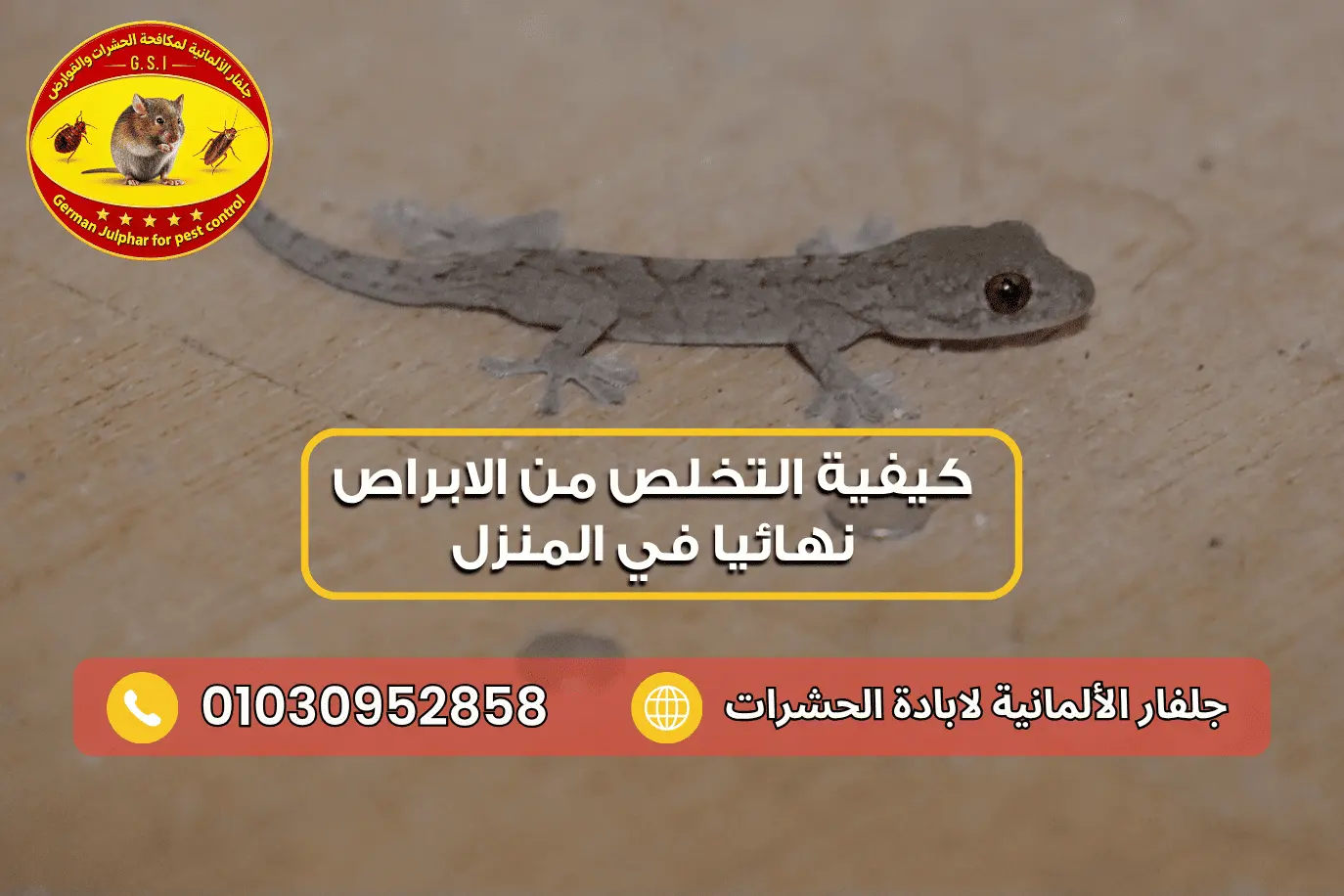 افضل مبيد للابراص مع جلفار 01030952858