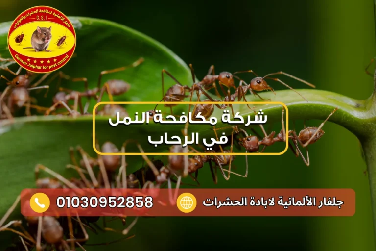 افضل مبيد للنمل الاسود مع جلفار 01030952858