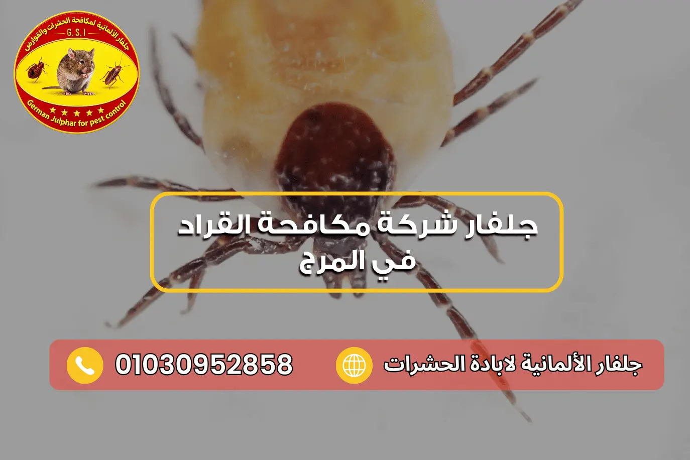 التخلص من القراد في المرج جلفار 01030952858