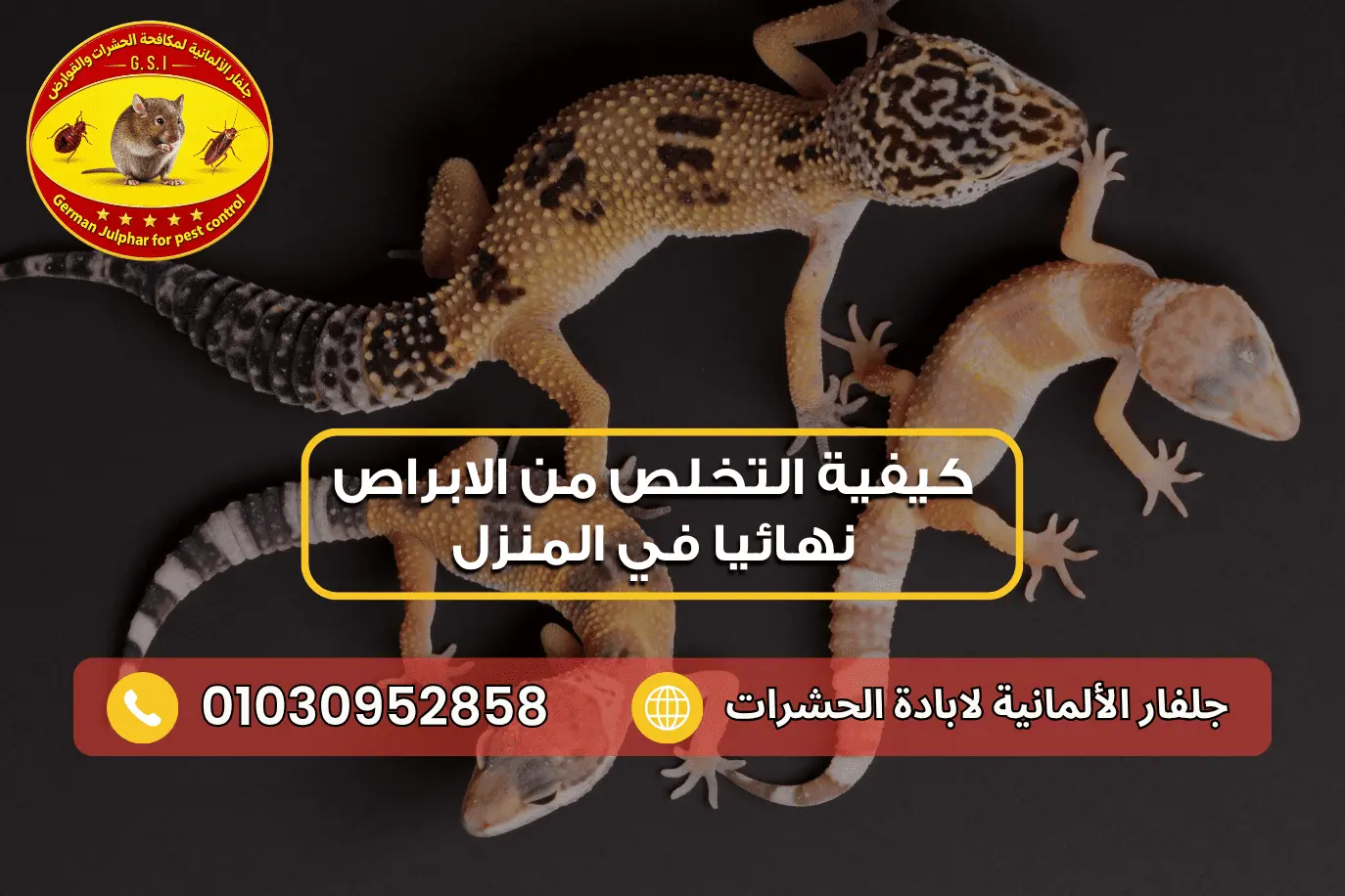 الشيح لطرد الابراص مع جلفار 01030952858