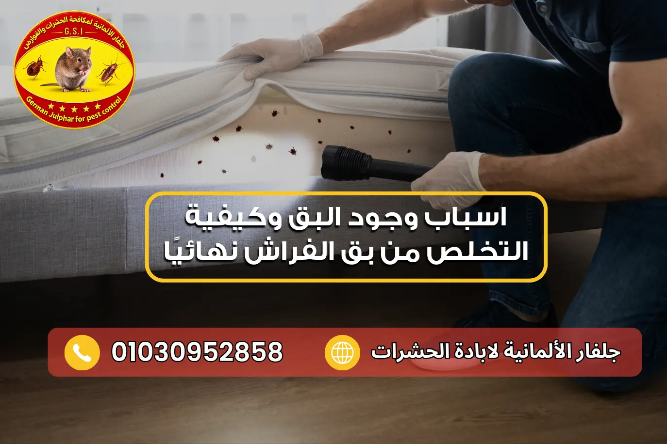 القضاء على بق الفراش جلفار 01030952858