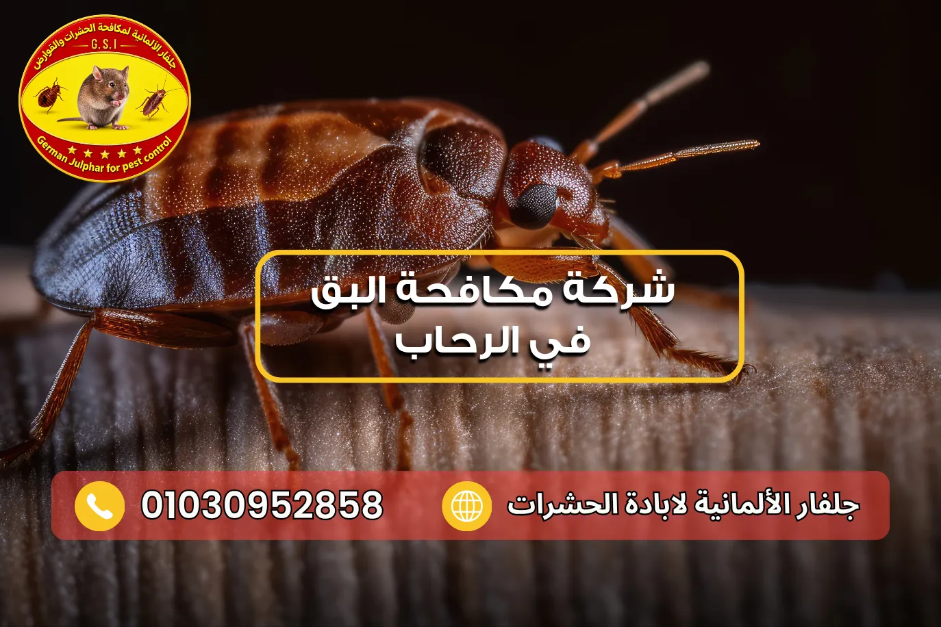 القضاء على بق الفراش نهائيا مع جلفار 01030952858