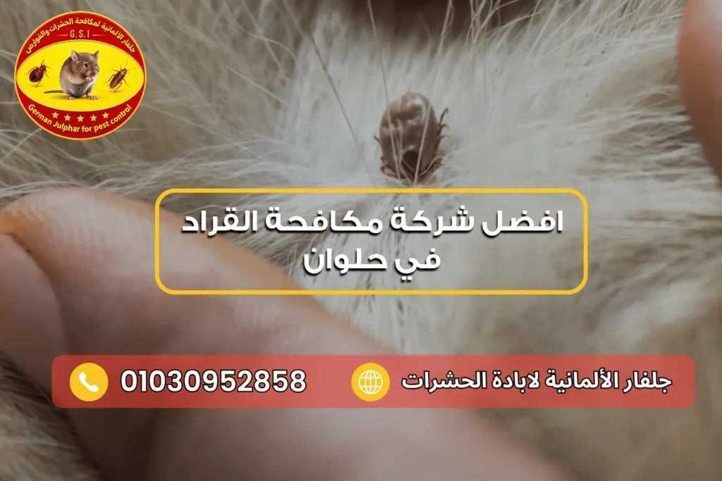 رقم شركة مكافحة القراد في حلوان جلفار 01030952858
