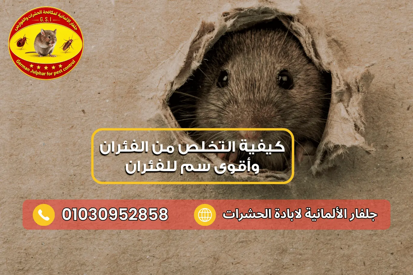 سبب ظهور الفئران في المنزل مع جلفار 01030952858
