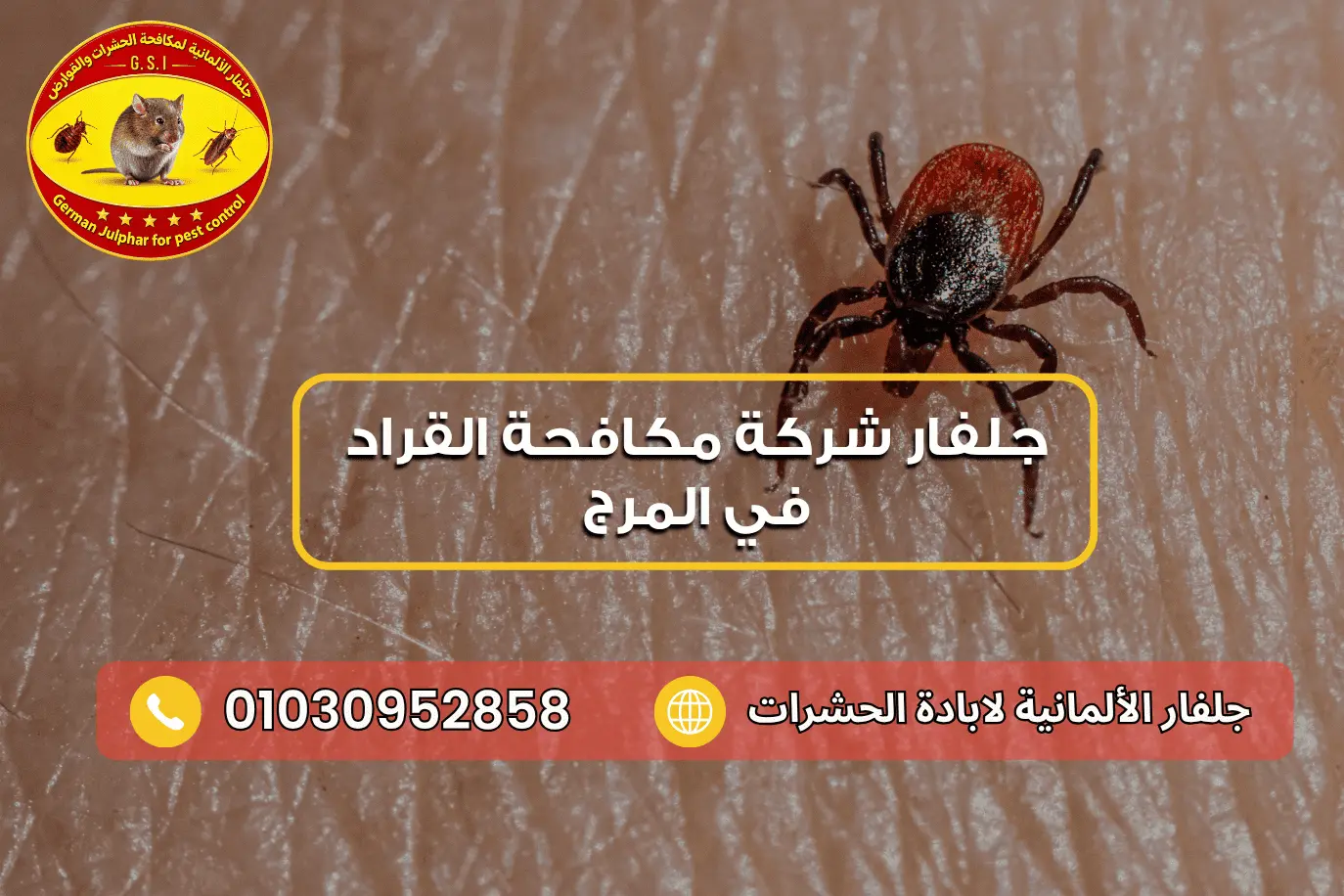 شركة إبادة القراد في المرج جلفار 01030952858