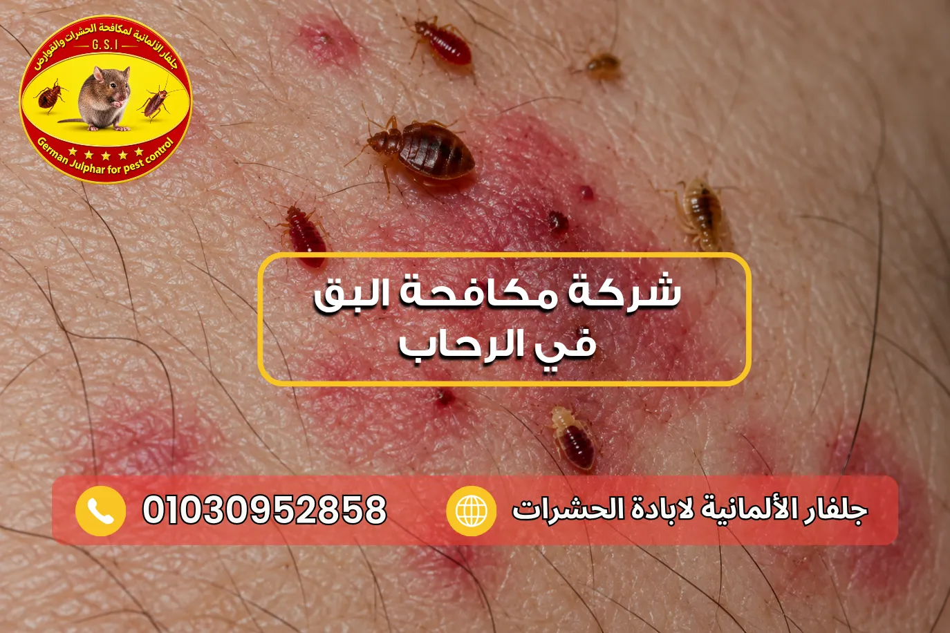 شركة رش البق في الرحاب مع جلفار 01030952858