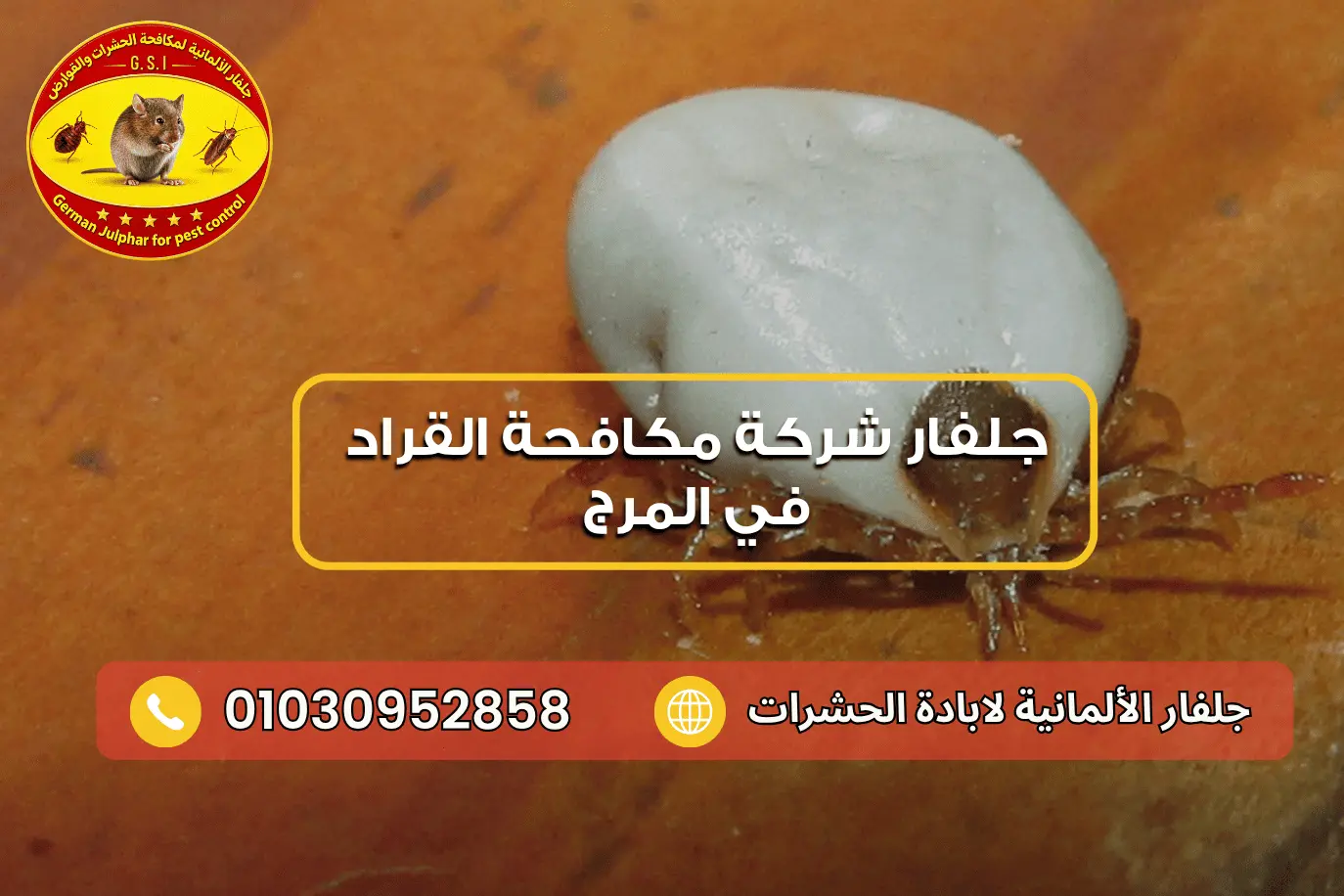 شركة رش القراد في المرج جلفار 01030952858