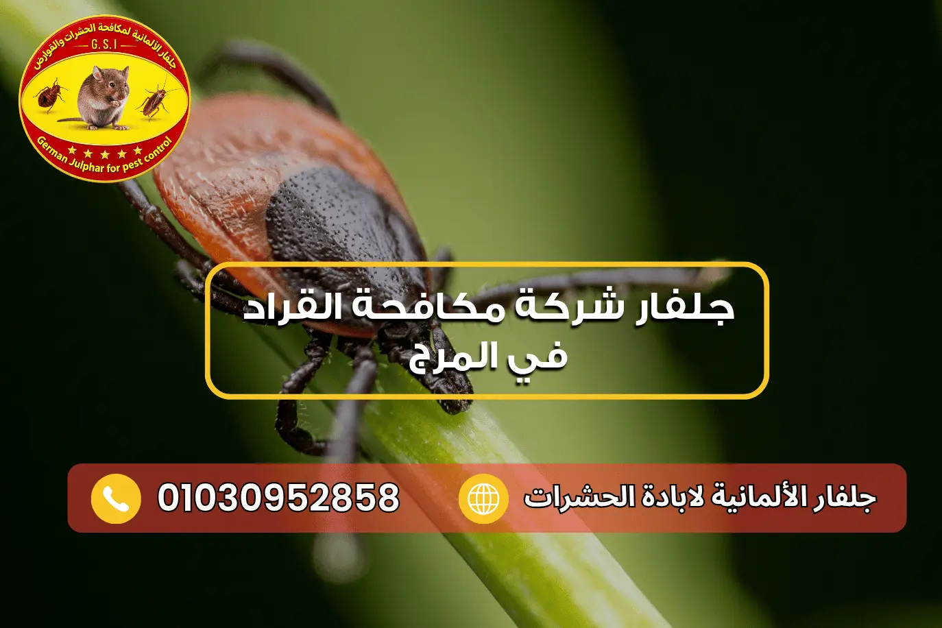 شركة مكافحة القراد في المرج جلفار 01030952858