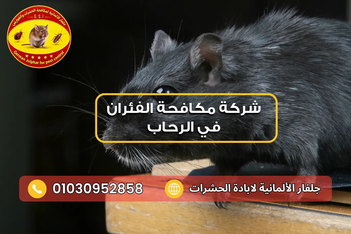شركة مكافحة القوارض في الرحاب مع جلفار 01030952858
