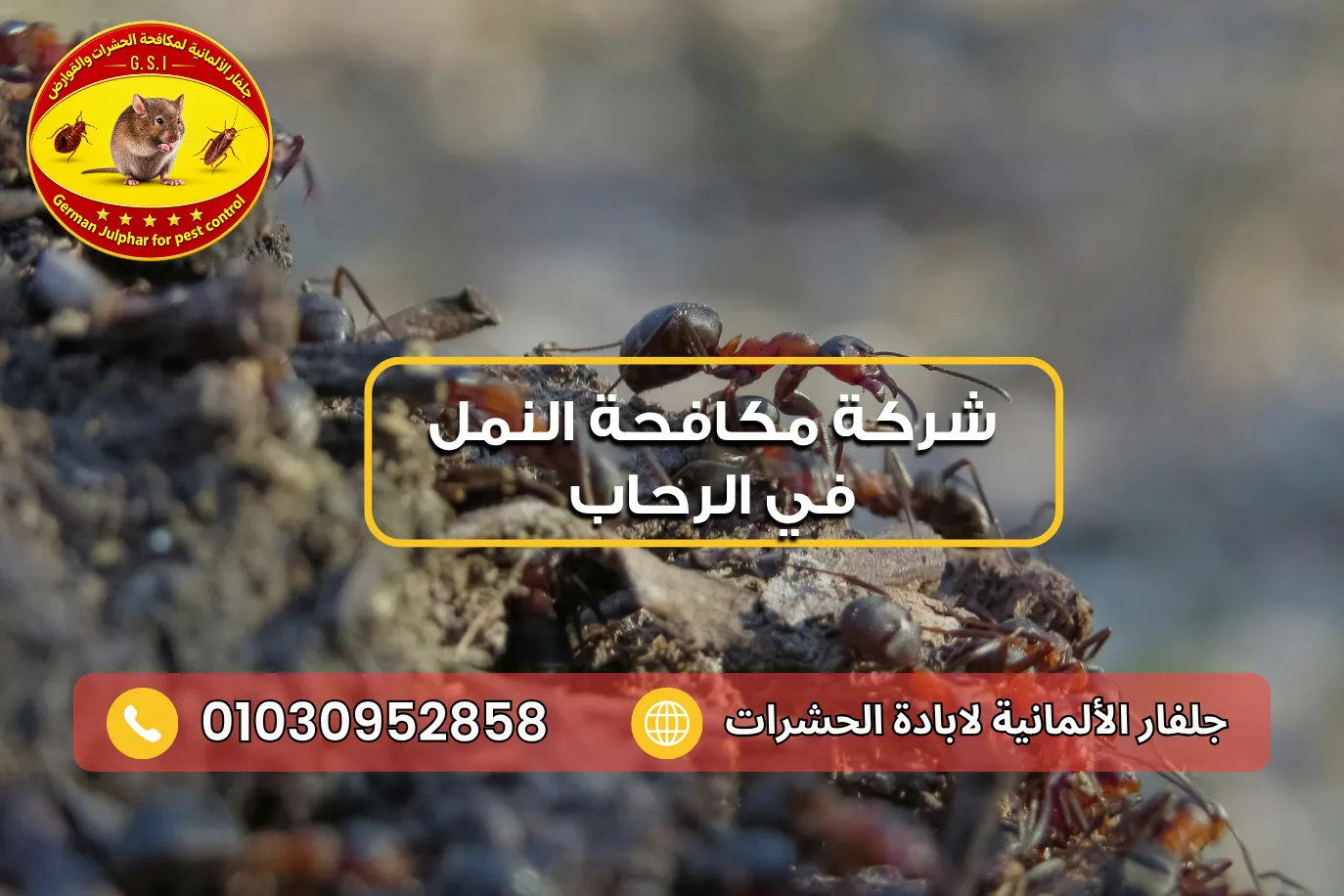 شركة مكافحة النمل مع جلفار 01030952858