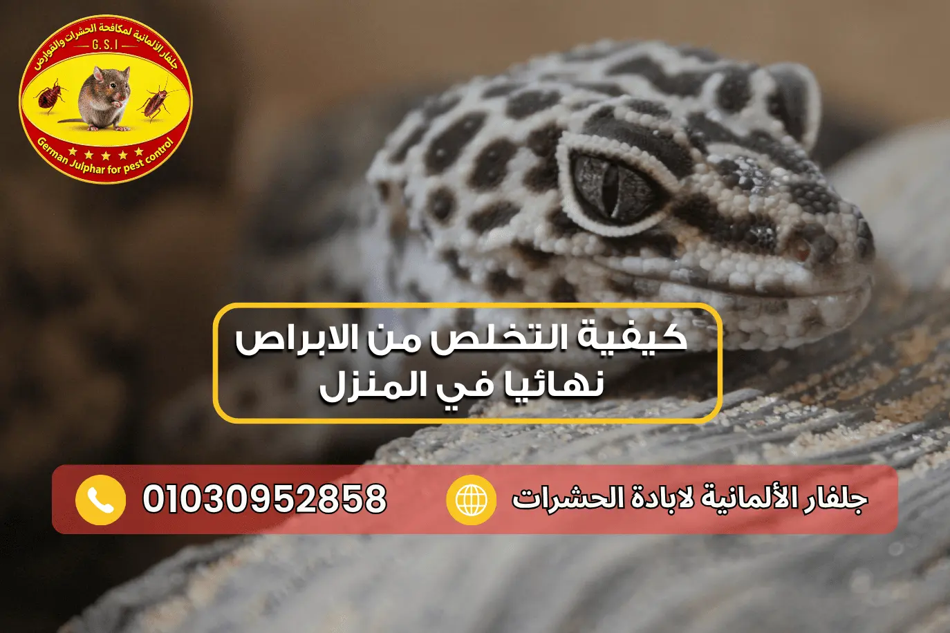 طرق التخلص من الابراص في المنزل مغ جلفار 01030952858