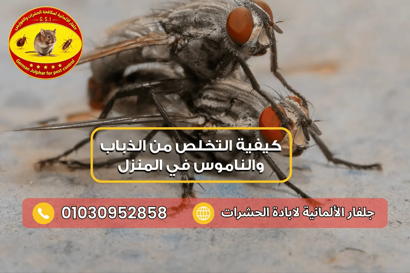 طرق التخلص من الذباب شركة الصفا 01008687117