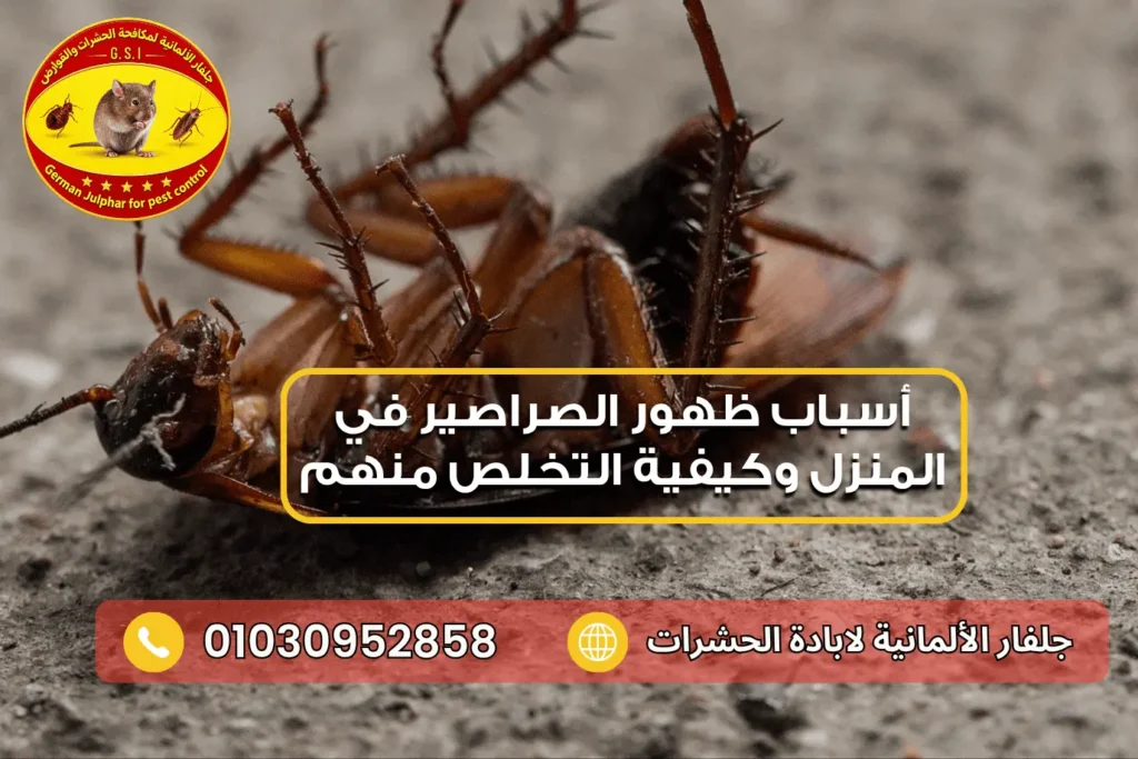 طرق مكافحة الصراصير جلفار 01030952858