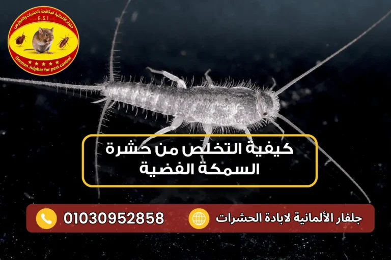 علاج حشرة السمكة الفضية في المنزل جلفار 01030952858