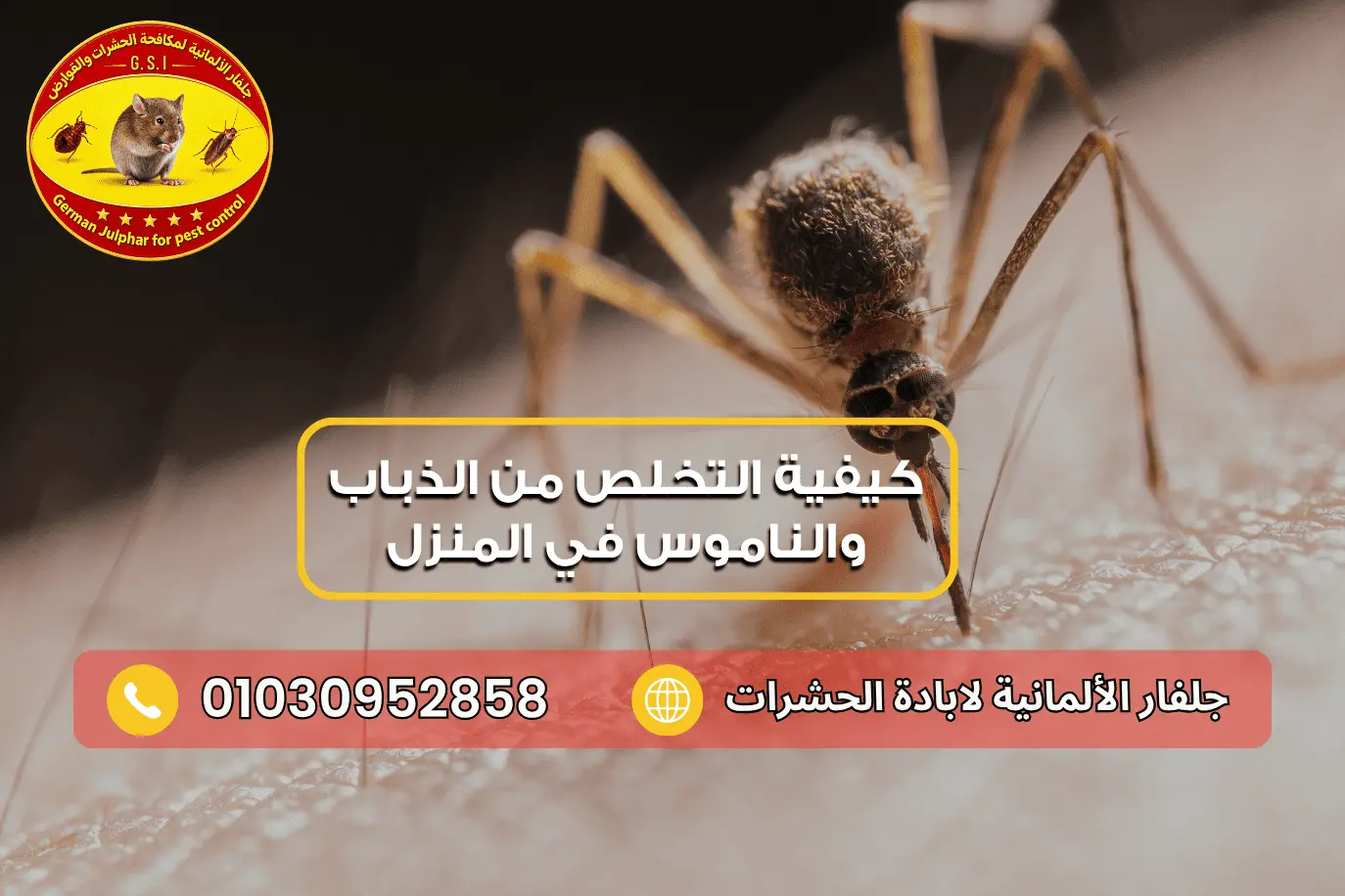 كيفية التخلص من الذباب والناموس في المنزل جلفار 01030952858