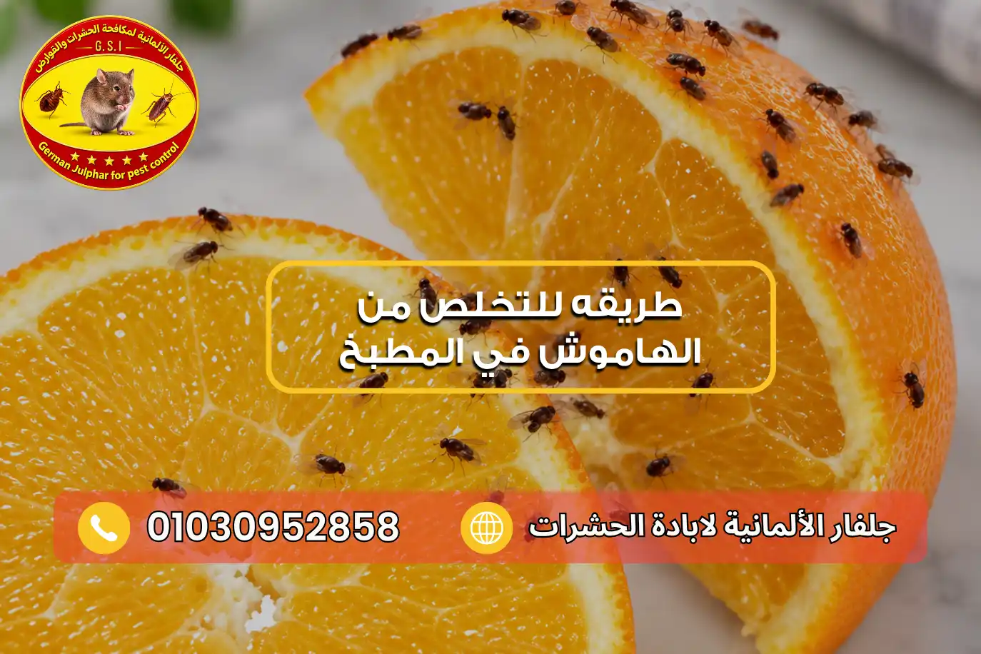 كيفية التخلص من الهاموش القارص مع جلفار 01030952858