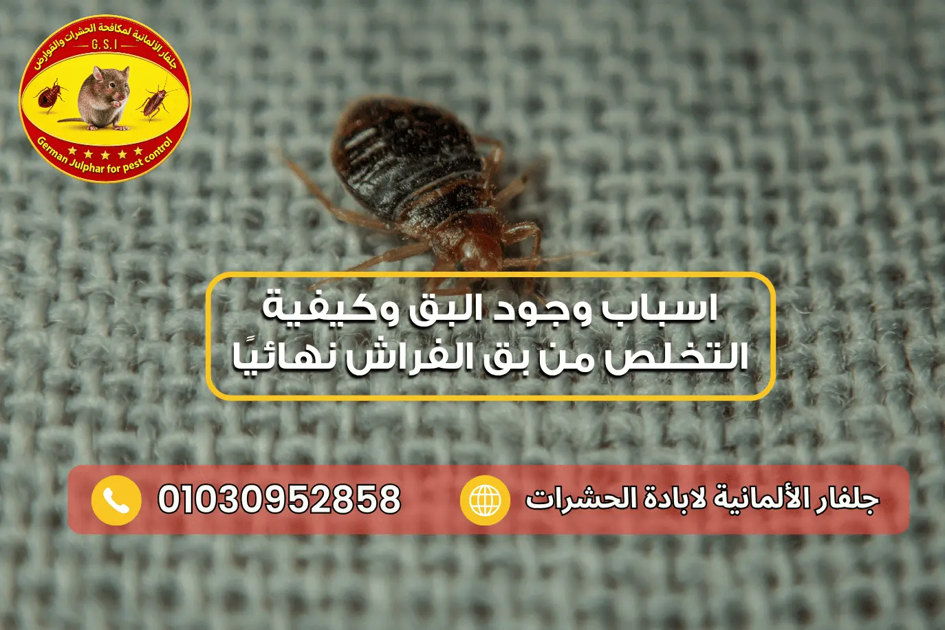 كيفية التخلص من بق الفراش جلفار 01030952858