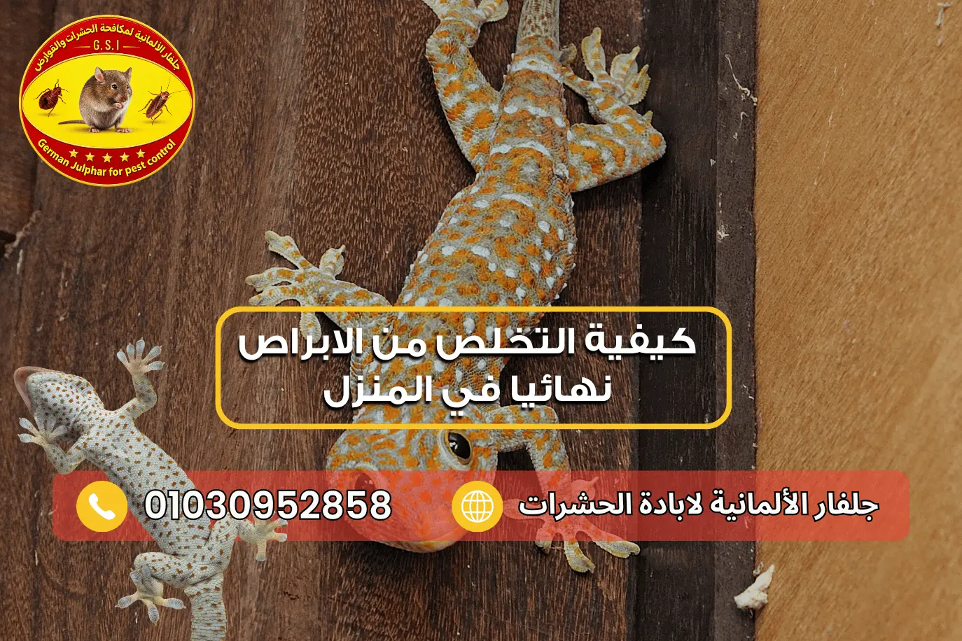 كيفية قتل الابراص مع جلفار 01030952858
