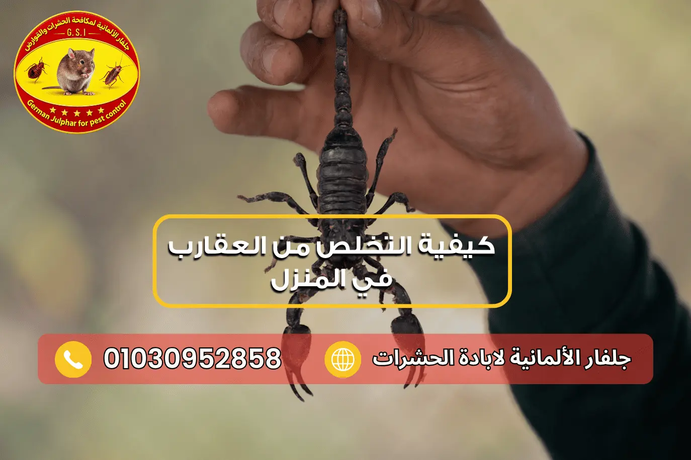 منع دخول العقارب إلى المنزل مع جلفار 01030952858