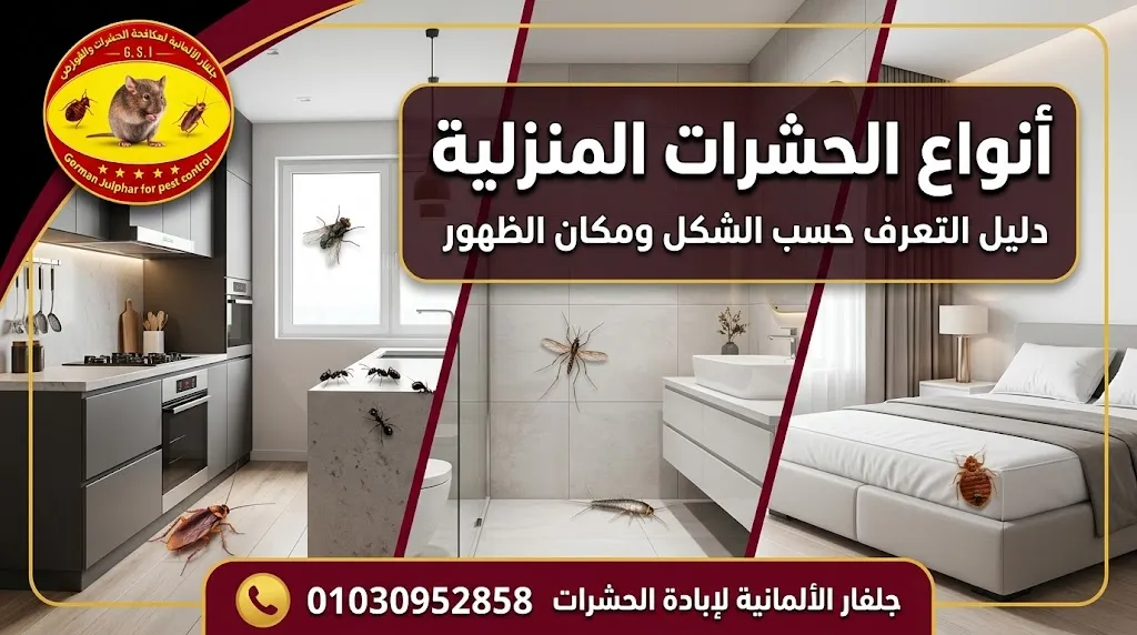 أنواع الحشرات المنزلية الشائعة وطرق التعرف عليها