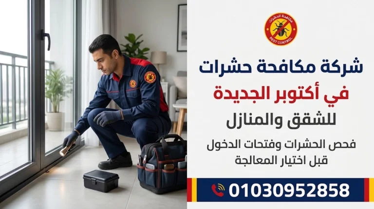 شركة مكافحة حشرات في أكتوبر الجديدة